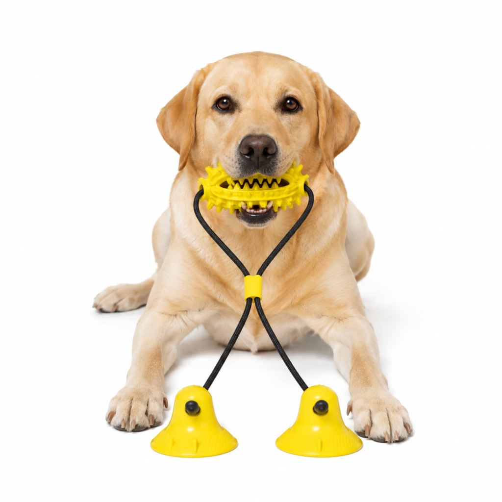 Custom dog chew toys for OEM and wholesale manufacturing