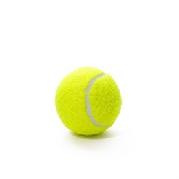 Tennis ball dog toy for fetch play