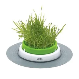 Catnip grass ball toy for cats with natural play features