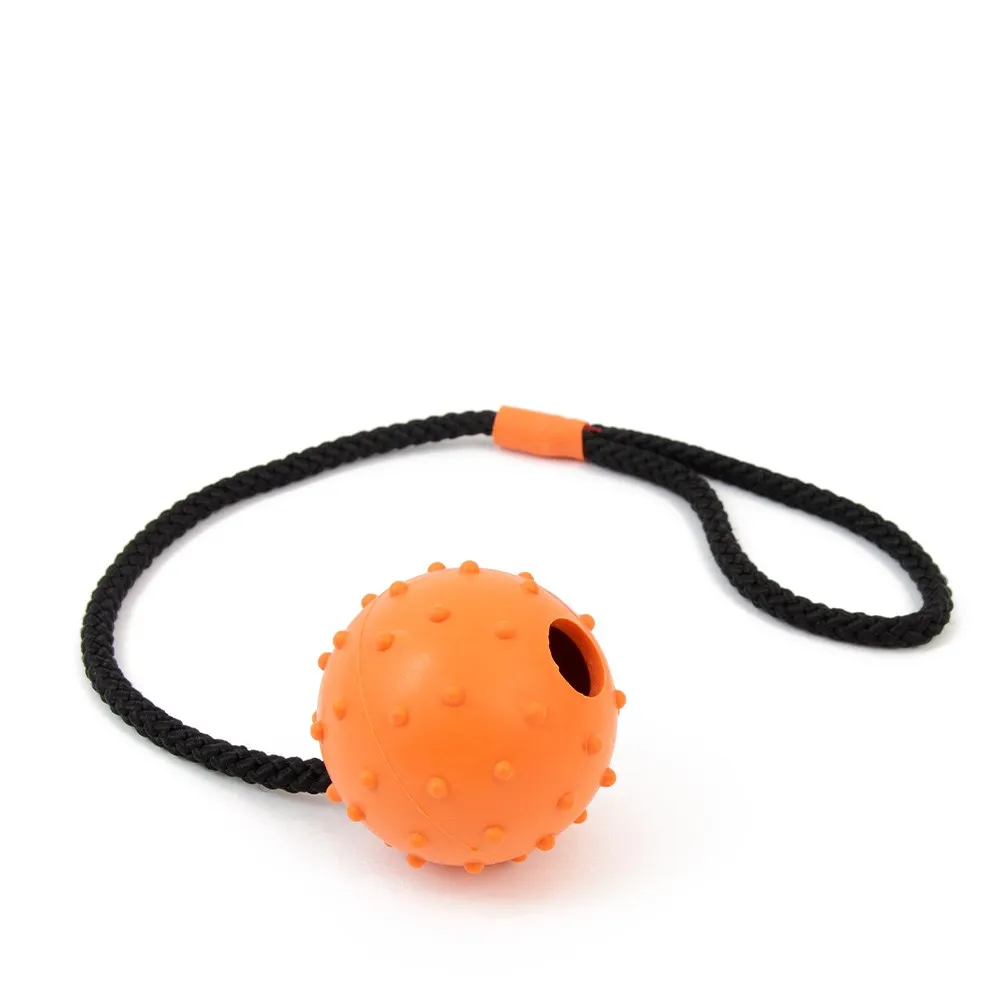 American FootballDog Toy