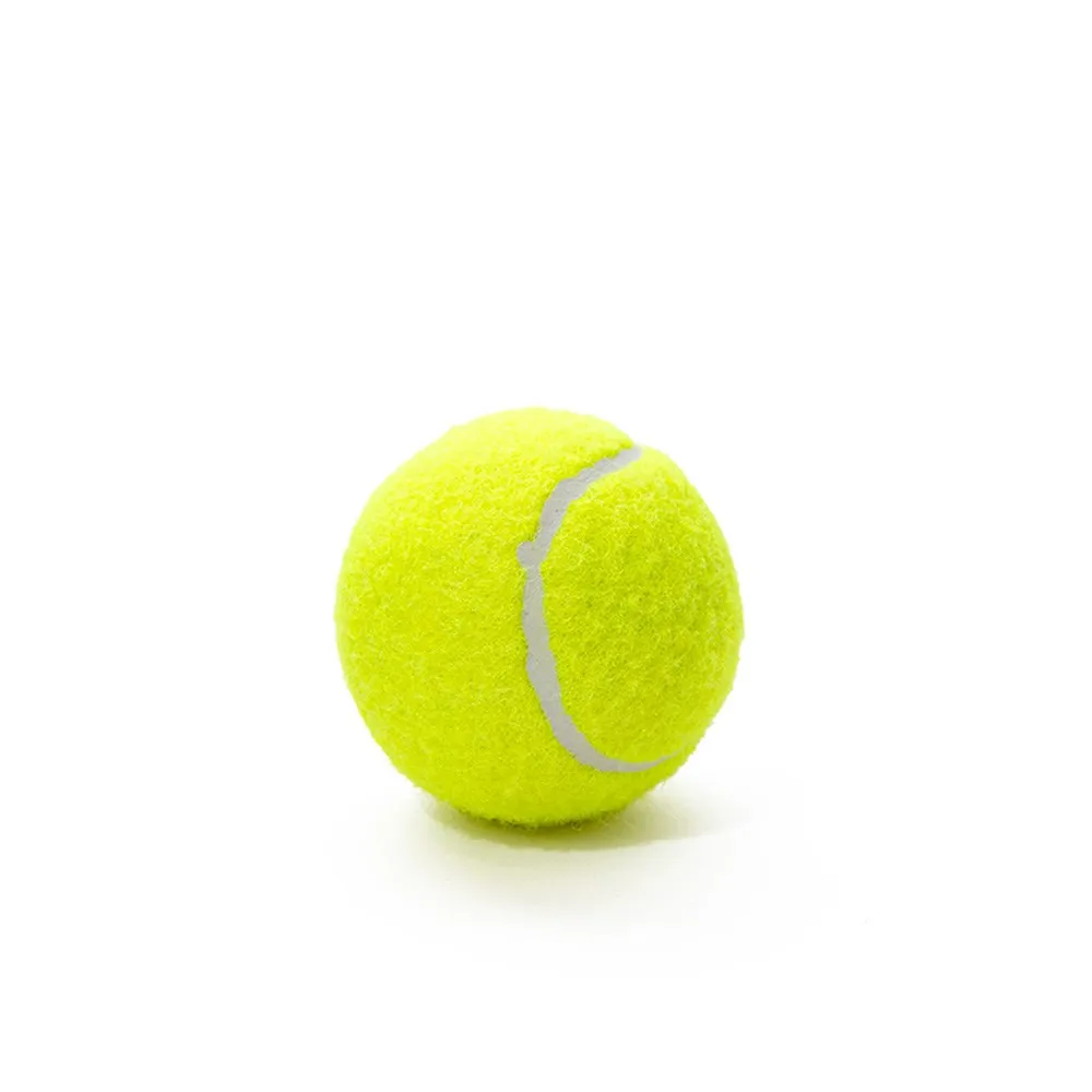 Tennis ball dog toy for interactive fetch and outdoor play